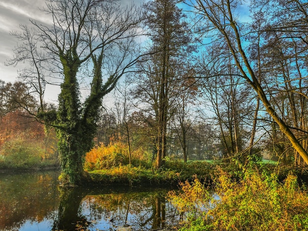 the aa river near borken