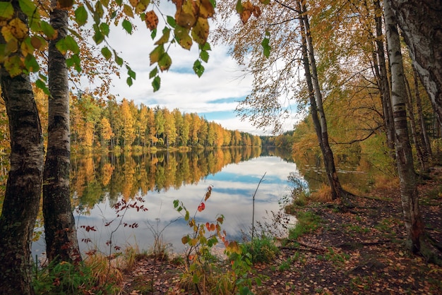 Aan de oever van het meer op een zonnige herfstdag.