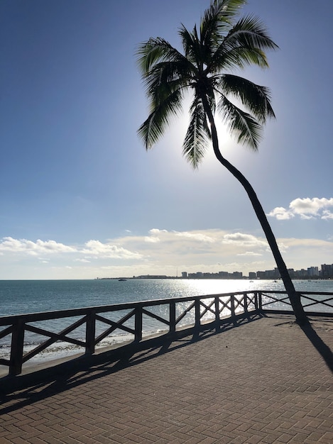 Aan het strand in Maceió, Brazilië