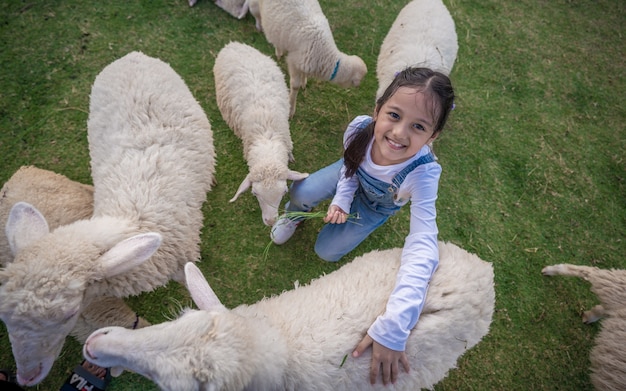 Aanbiddelijk meisje en schapen