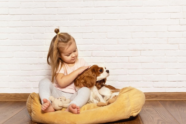 Aanbiddelijk meisje met puppy dat thuis speelt. Kind met hondje binnen. Het beste en vriendelijkste huisdier voor kinderen en gezinnen, liefde voor huisdieren, liefde voor honden, speciale relatie met het huisdier