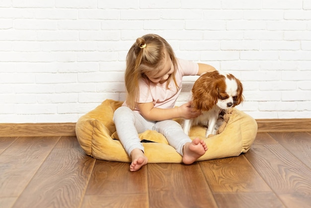 Aanbiddelijk meisje met puppy dat thuis speelt. Kind met hondje binnen. Het beste en vriendelijkste huisdier voor kinderen en gezinnen, liefde voor huisdieren, liefde voor honden, speciale relatie met het huisdier