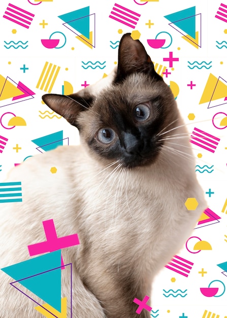 Aanbiddelijke kat met abstracte kleurrijke grafische achtergrond