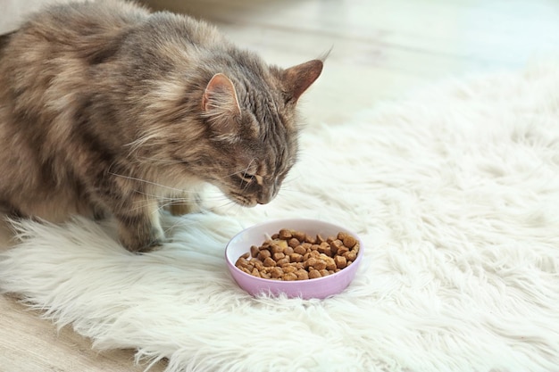 Foto aanbiddelijke maine coon-kat dichtbij kom voedsel op pluizig tapijt thuis ruimte voor tekst