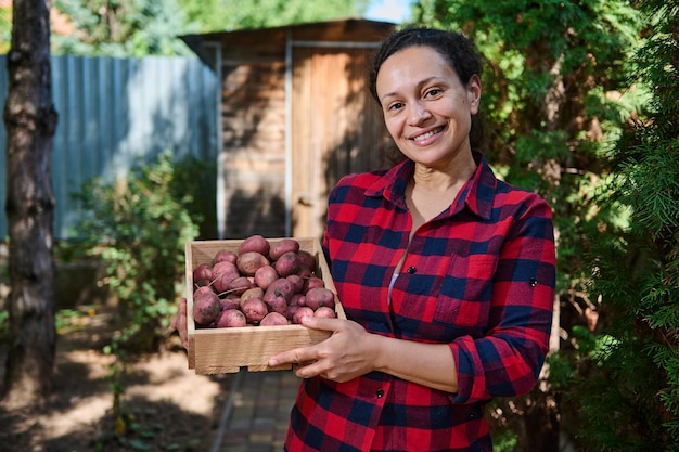 Aangename vrouw, succesvolle boereneigenaar die een houten kist met vers gegraven roze aardappelen vasthoudt en schattig naar de camera glimlacht