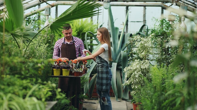 Aantrekkelijke paar werken in kas Vrouw tuinman in schort planten water geven met tuinsproeier terwijl haar man met hem praat