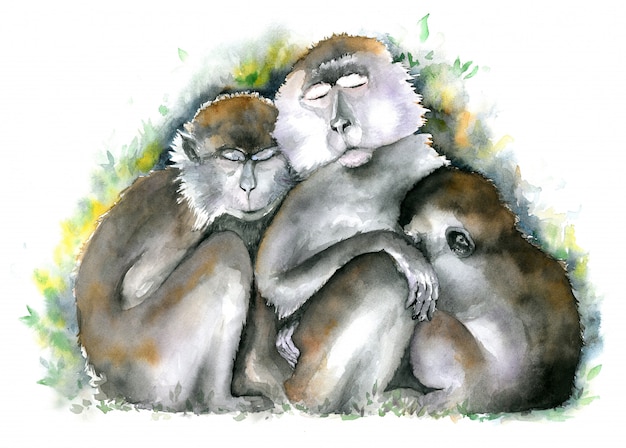 Aap familie. Drie bruine monniken zitten samen met gesloten ogen. Aquarel illustratie.