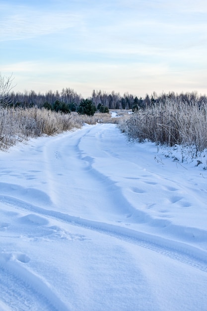 Aard van Rusland in een ijzige winter