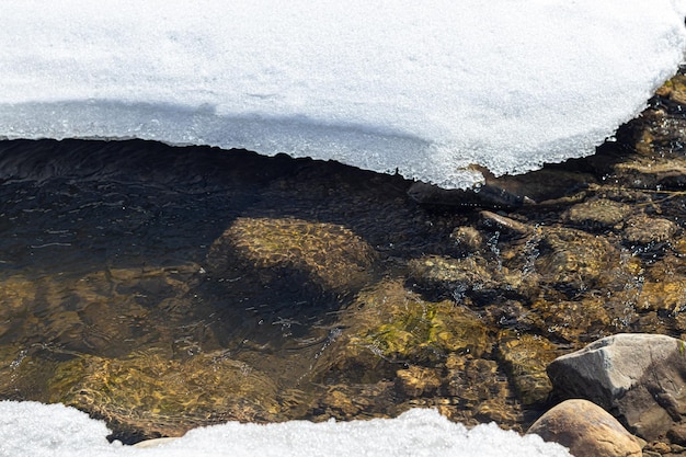 Foto aard van west-oekraïne bergen rivieren en bossen onderdak voor oorlogsvluchtelingen vertrek uit de bezette gebieden oorlog in oekraïne