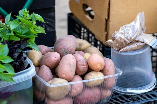 Aardappelen en groenten verkopen op een straatbazaar Verse rijpe groenten geteeld op een boerderij op een kleine toonbank