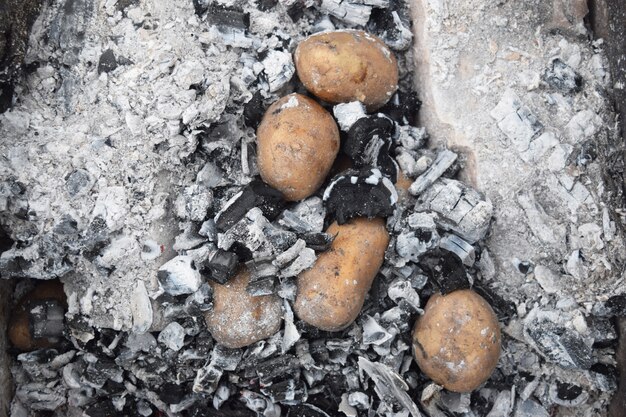 Aardappelen op de kolen van een kamp lunch