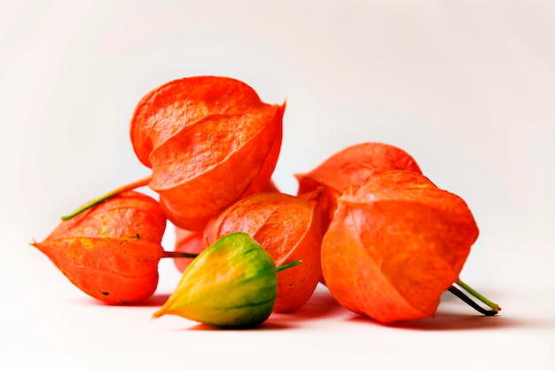 Aardbei gemalen kers Physalis alkekengi