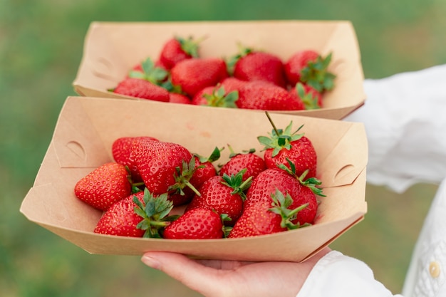 Aardbei in wegwerp eco plaat in handen van de vrouw op groene achtergrond.