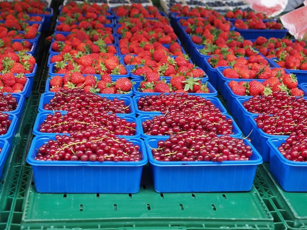 Aardbeien en aalbes fruit eten