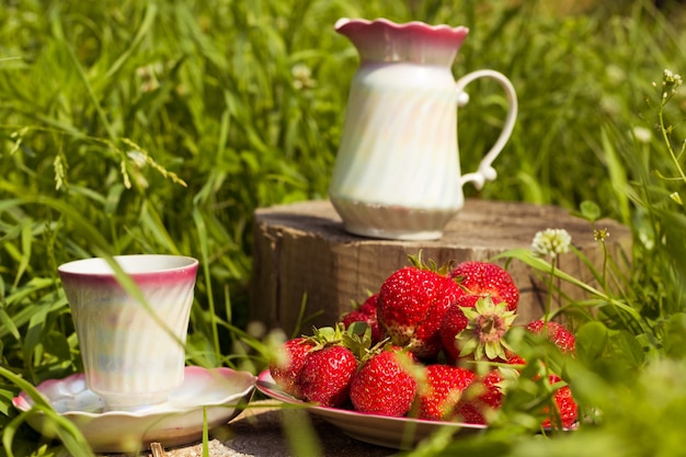 Aardbeien en theepot op het gras