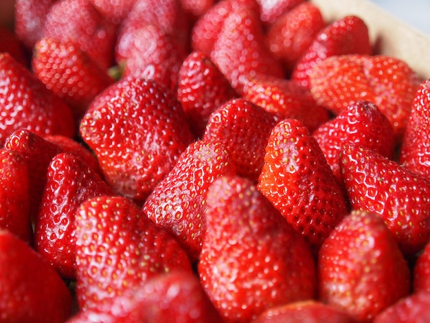 Aardbeien fruit