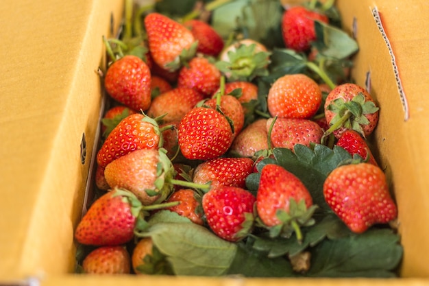 aardbeien in kartonnen doos.