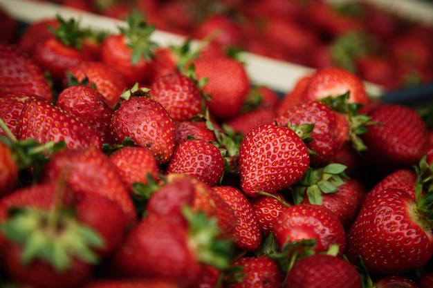 Aardbeien op de markt teller close-up