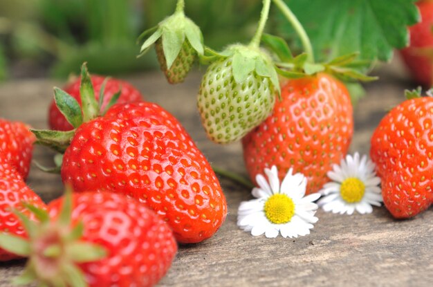 Aardbeien op een plank