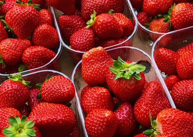 Aardbeien verpakt in doos zoete rijpe perfecte aardbeien oogst biologische tuin en landbouw