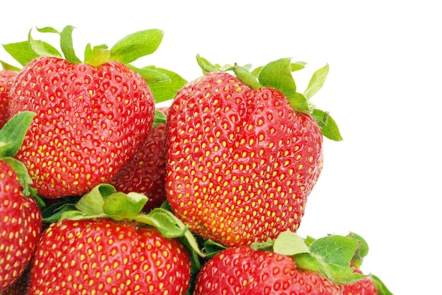 aardbeien