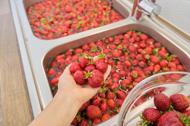 Aardbeienseizoen, bessen wassen in water in de wasbak in de thuiskeuken. Veel aardbeien, bessen voorbereiden voor jam, om in te vriezen