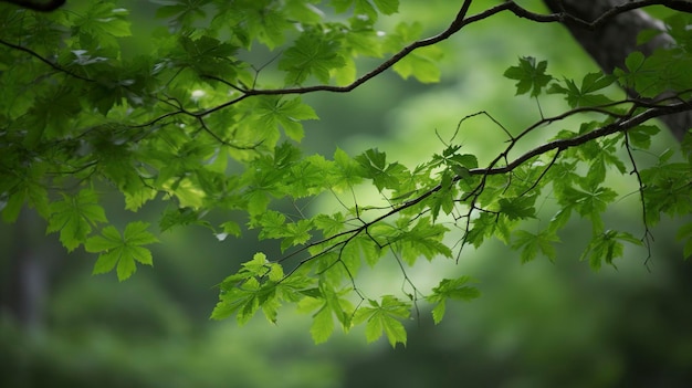 Aardedag en Wereldmilieudag Lente Tropische boombladeren en takken met een prachtige groene bosachtergrond genereren ai