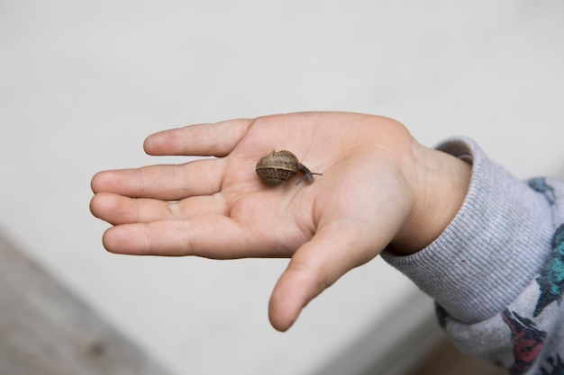 Foto aardeslak op de hand van kinderen