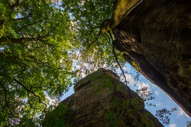 aardmening van het Saksische Nationale Park van Zwitserland, Duitsland