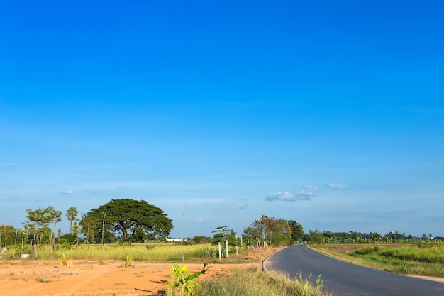 Aardweg op achtergrond van de berg de bos blauwe hemel