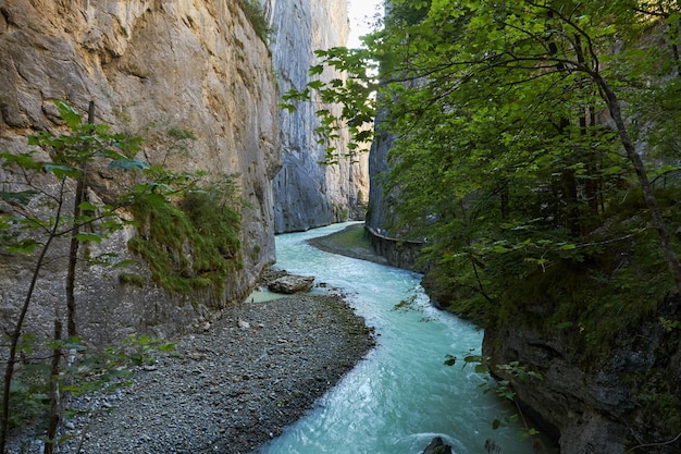 スイスのアーレ川の峡谷