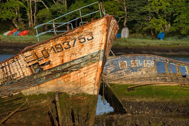 Abandoned boat against trees