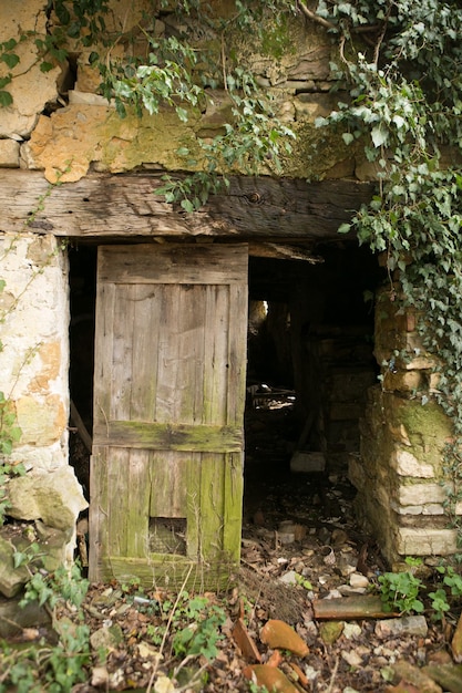 Foto edificio abbandonato vicino agli alberi