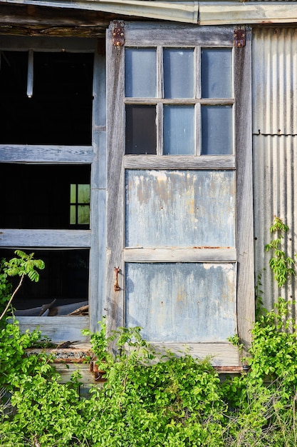 Abandoned building entrance doorway and glass windows choked by plant overgrowth