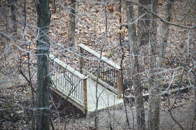 Abandoned building in forest