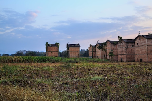 Abandoned buildings on a corn field