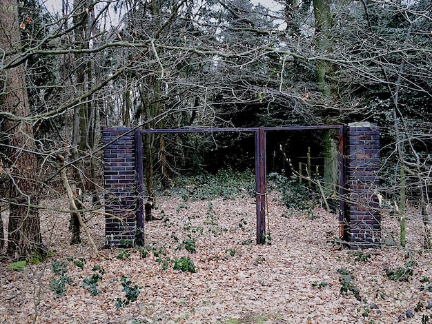 Photo abandoned built structure against trees on field