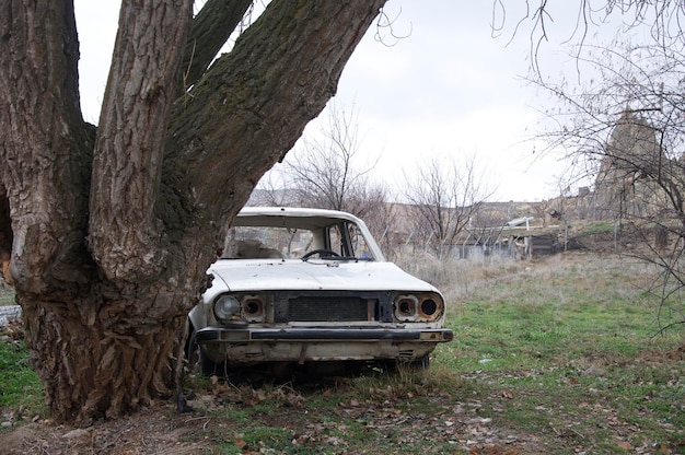 Foto auto abbandonata dall'albero contro il cielo