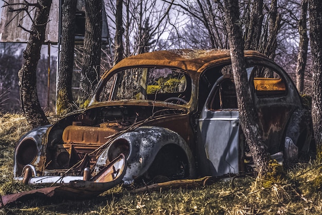 Foto auto abbandonata sul campo.