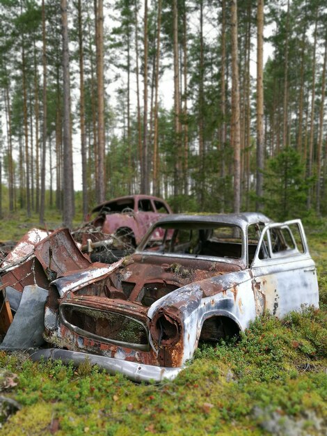 Foto auto abbandonata nella foresta.