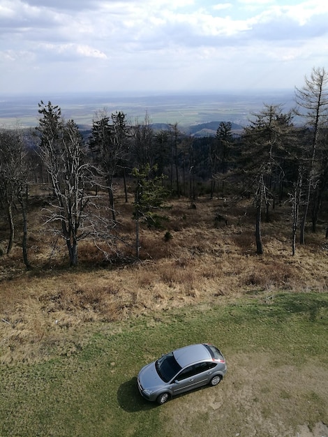 Abandoned car on grass by trees against sky