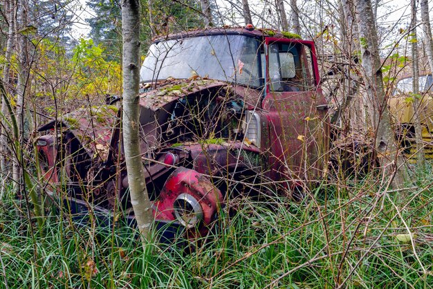 Foto auto abbandonata a terra