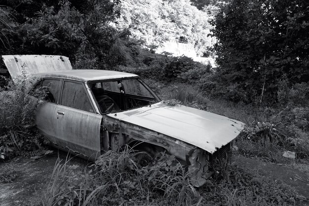 Foto auto abbandonata sul paesaggio