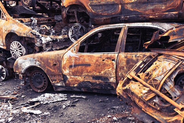 写真 野原に捨てられた車