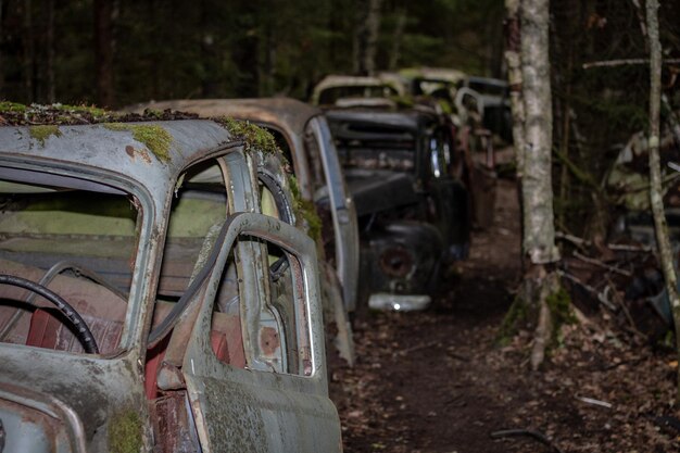 Photo abandoned cars in forest