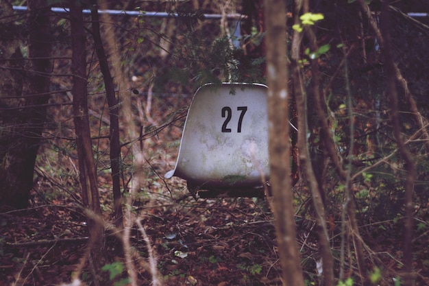 Photo abandoned chair number 27 in forest