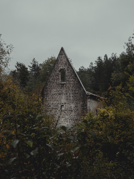 Foto chiesa abbandonata nel mezzo della foresta