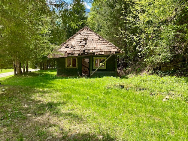 Abandoned forest house