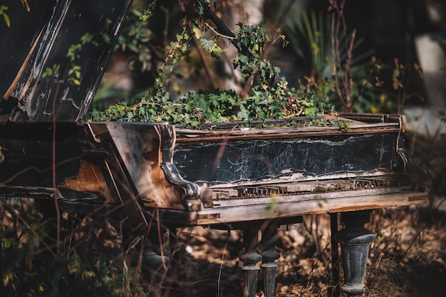 Abandoned Grand Piano In The Garden