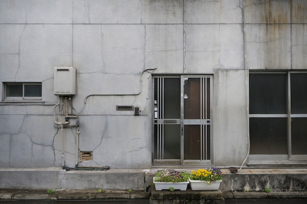 写真 ひびの入った壁と廃屋の背景